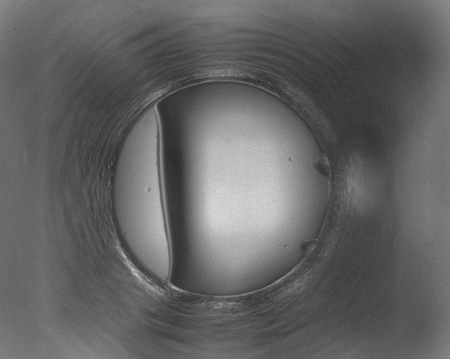 X0000077330841200610200913