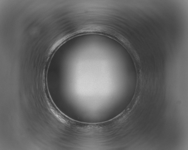 X0000077330842200610200913