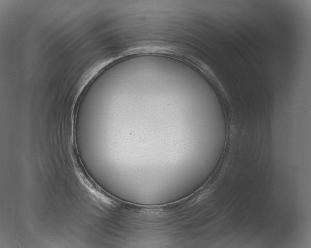 X0000077330844200610200913