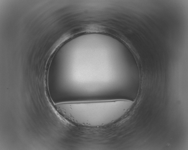 X0000077330853200610200913