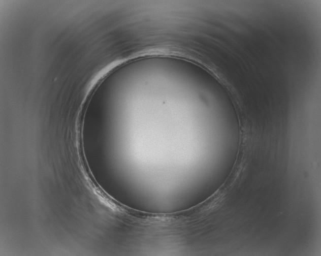 X0000077330854200610200913
