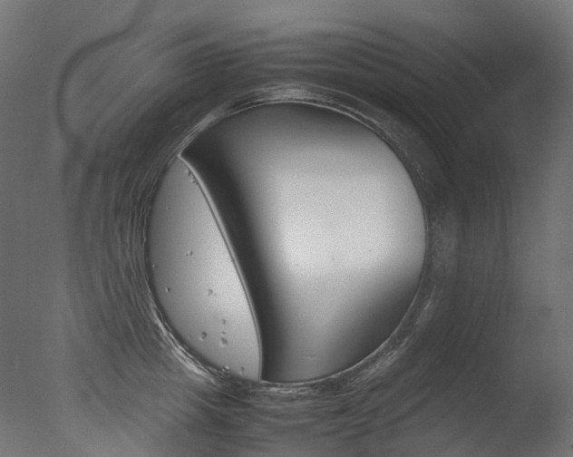 X0000077330857200610200913