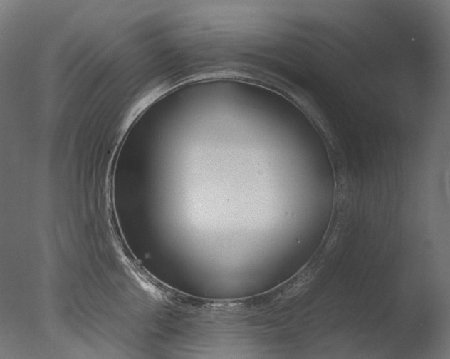 X0000077330858200610200913