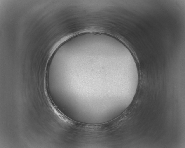 X0000077330861200610200913