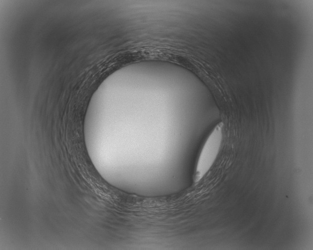 X0000077330865200610200912