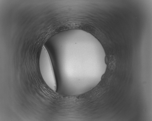 X0000077330866200610200912