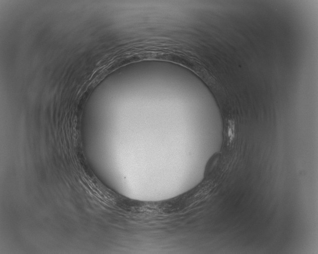 X0000077330867200610200912
