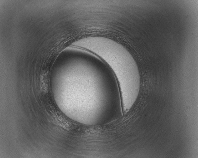 X0000077330868200610200912