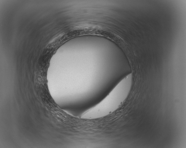 X0000077330869200610200912