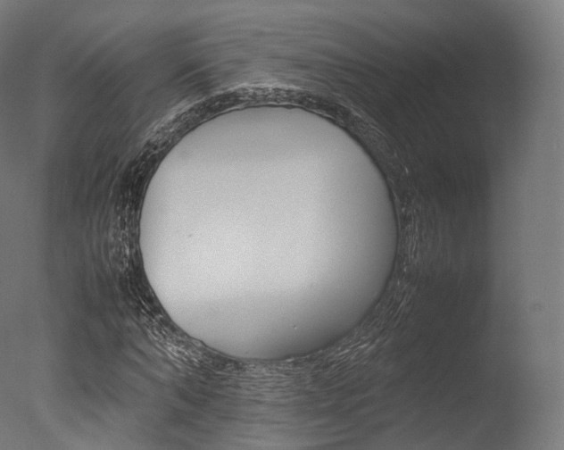 X0000077330870200610200912