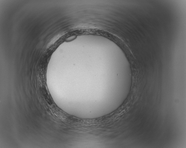 X0000077330871200610200912