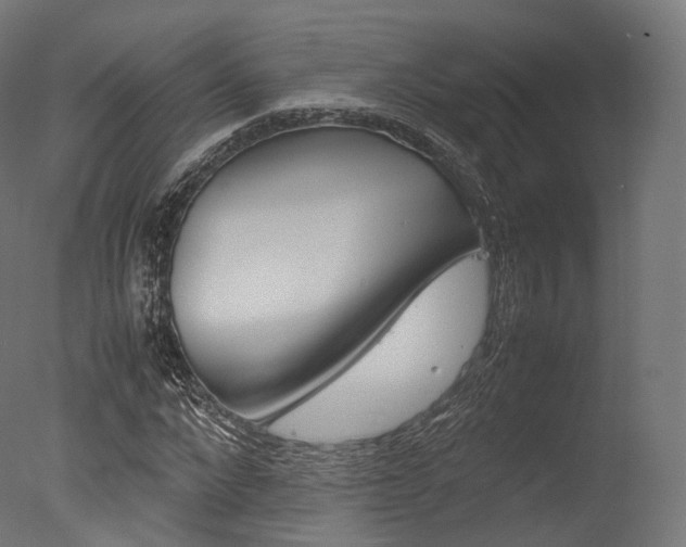X0000077330872200610200912