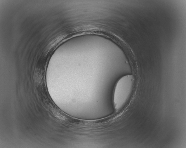 X0000077330873200610200912