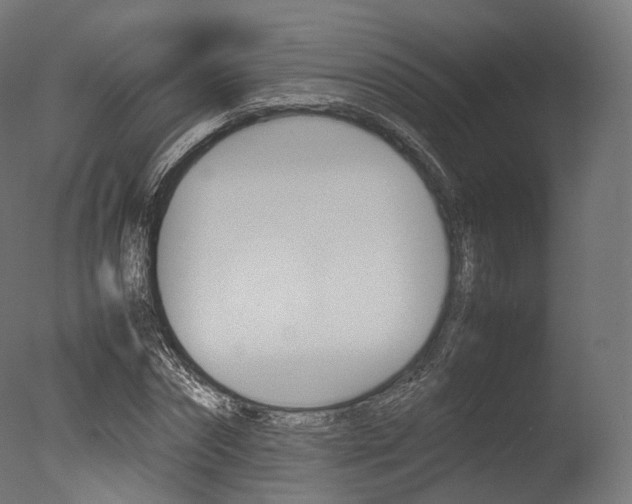 X0000077330874200610200912