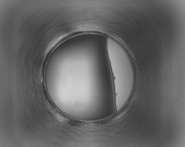 X0000077330885200610200912