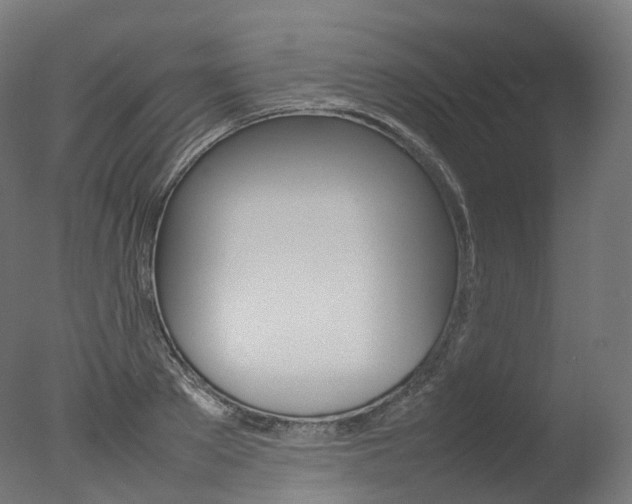 X0000077330889200610200912