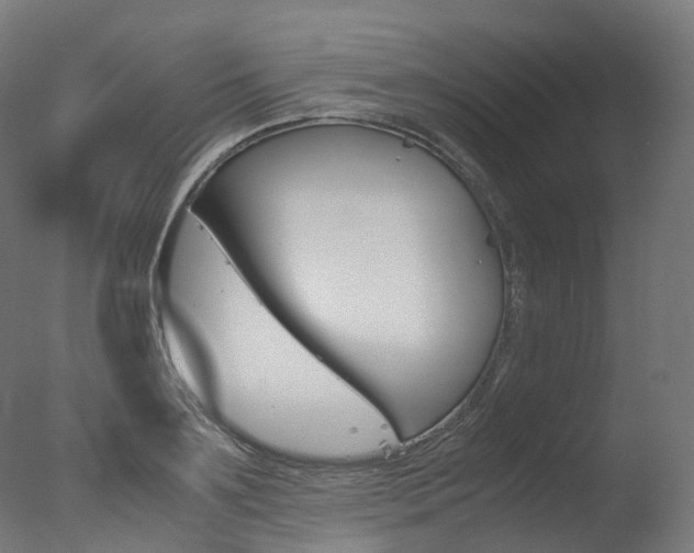 X0000077330891200610200912
