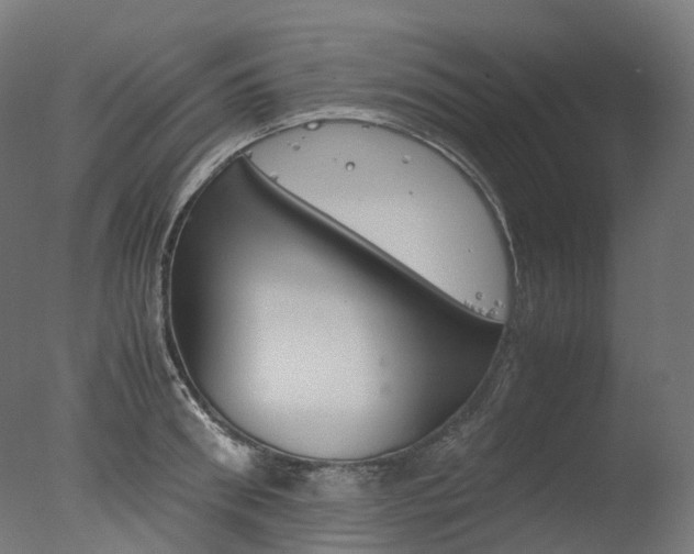 X0000077330898200610200912