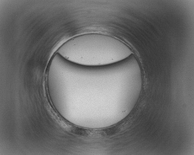 X0000077330899200610200912