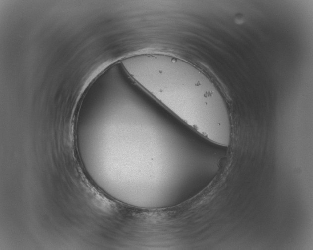X0000077330900200610200912