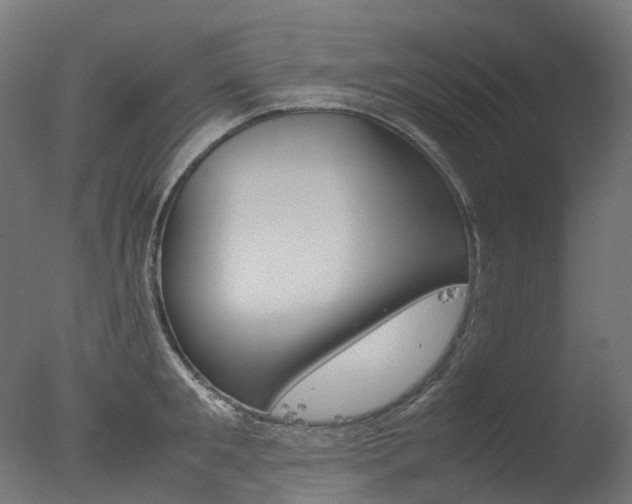 X0000077330901200610200912