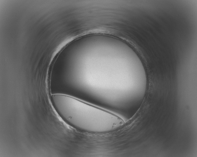 X0000077330902200610200912