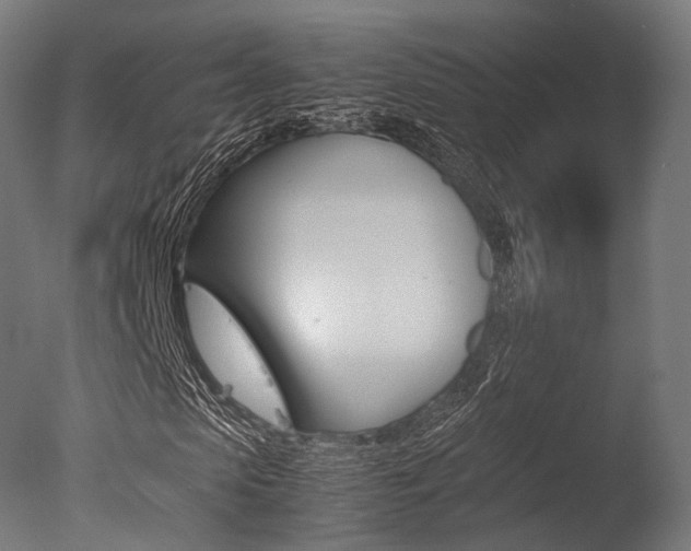X0000077330913200610200911