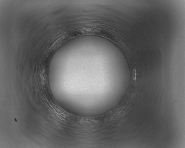 X0000077330915200610200911
