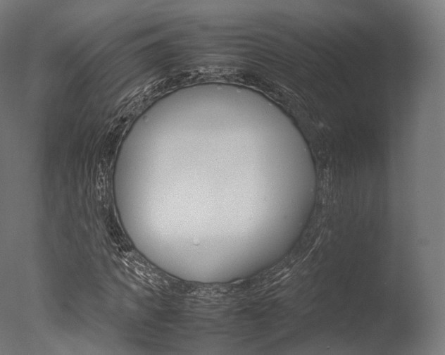 X0000077330917200610200911
