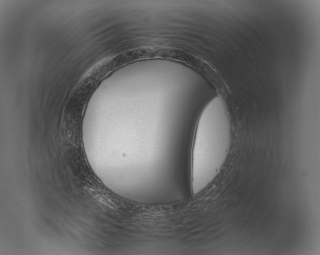 X0000077330919200610200911