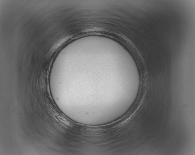 X0000077330921200610200911