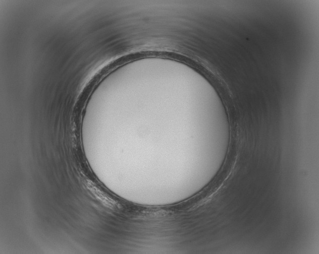X0000077330926200610200911