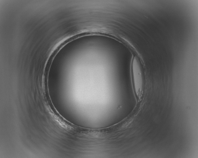 X0000077330932200610200911