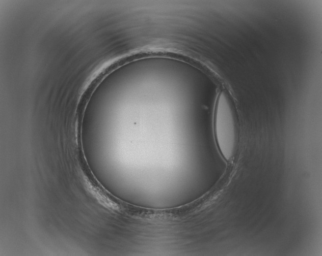 X0000077330934200610200911
