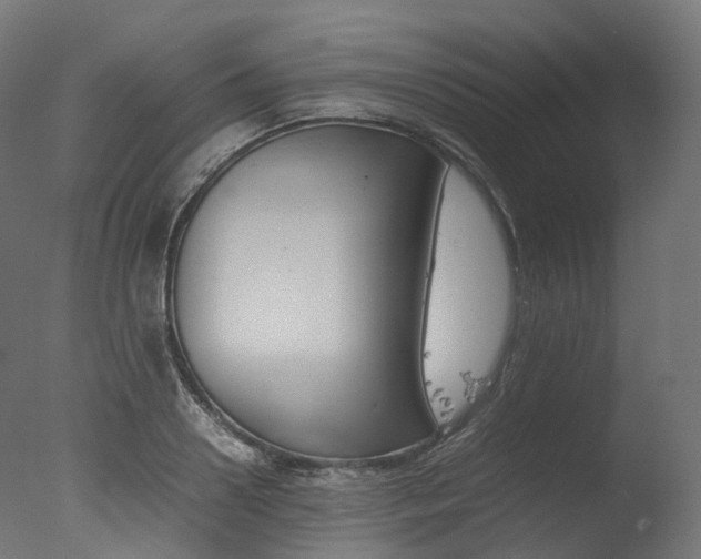 X0000077330938200610200911