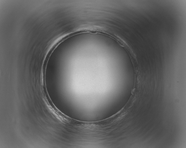 X0000077330940200610200911