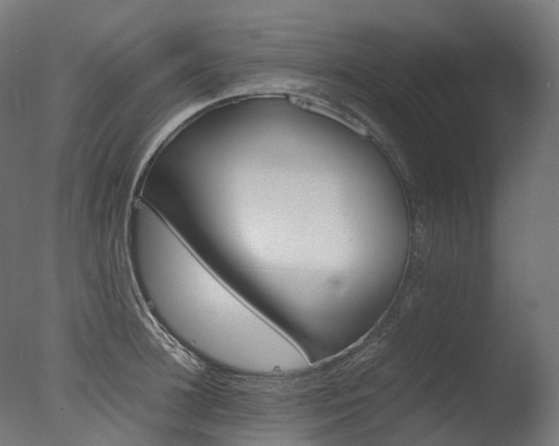 X0000077330948200610200911