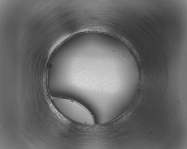 X0000077330952200610200911