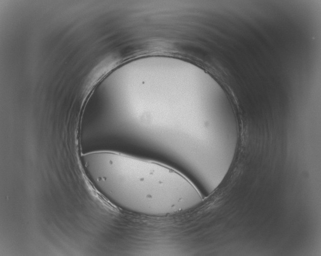 X0000077330954200610200911