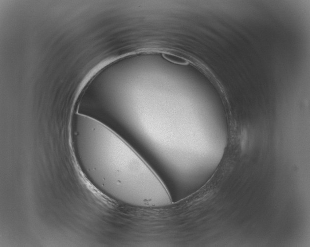 X0000077330955200610200911