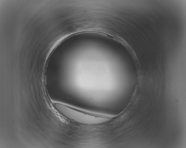 X0000077330956200610200911