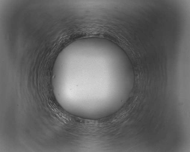 X0000077330961200610200911