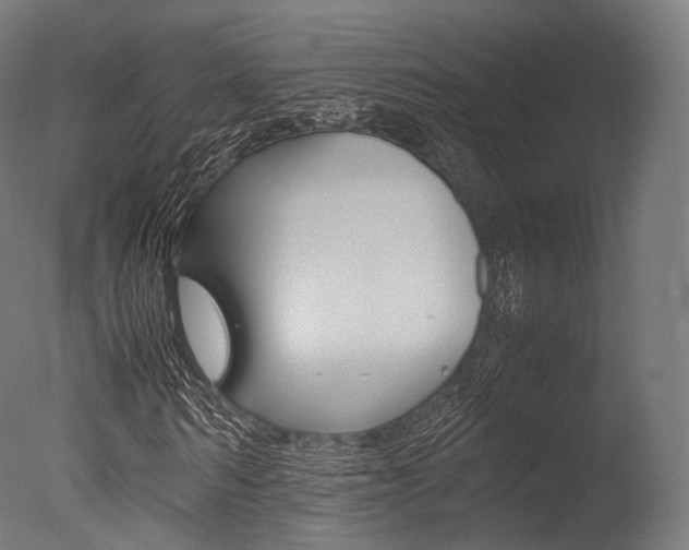 X0000077330962200610200911