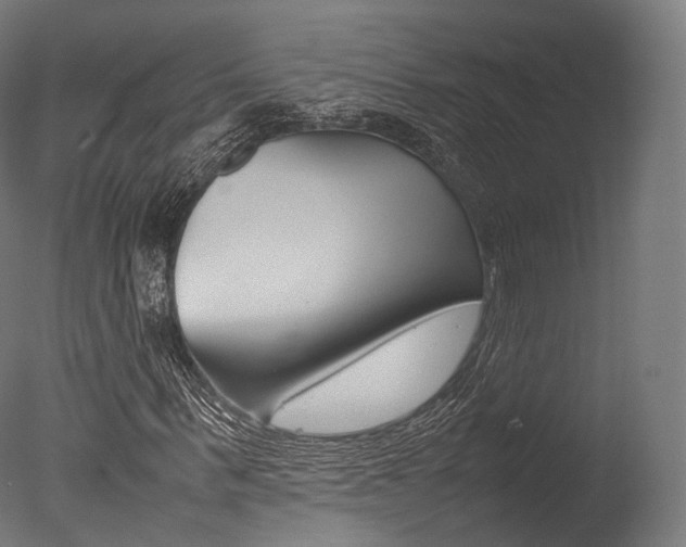 X0000077330963200610200910