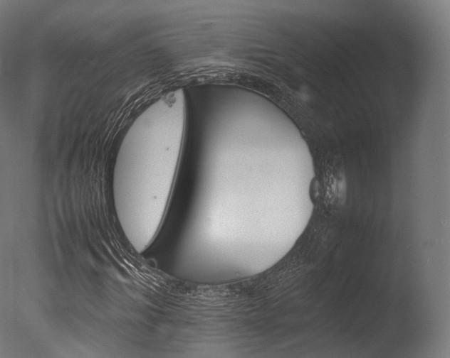 X0000077330964200610200910