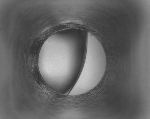 X0000077330965200610200910