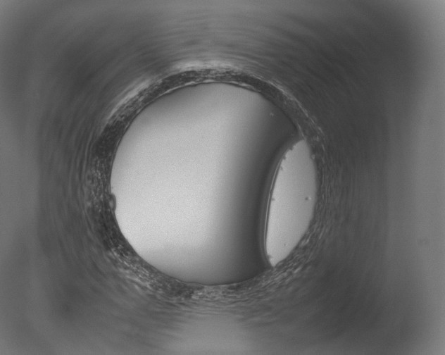 X0000077330967200610200910