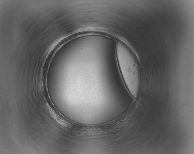 X0000077330972200610200910
