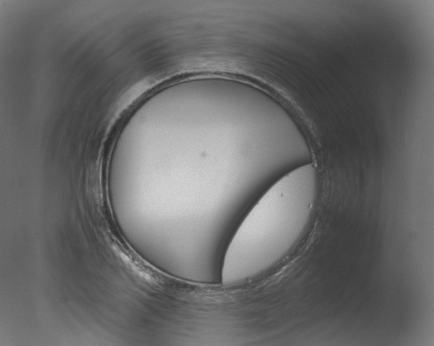 X0000077330982200610200910