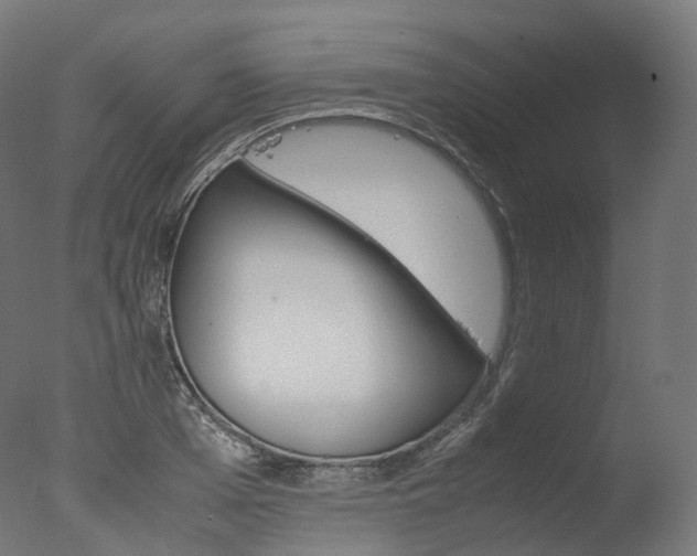 X0000077330985200610200910